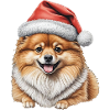 Chiot poméranien de Noël
