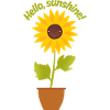 Hello, sunshine!