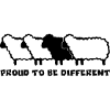 DIFFERENT SHEEP 2 - 2C
