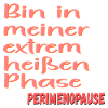 PERIMENOPAUSE HITZE