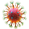 Virus