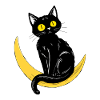 Black Cat Magic