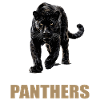 Panthers Panther