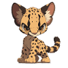 Ocelots Ocelot