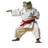 Sports Frog