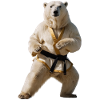Sport polar bear