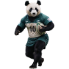 Sporty Panda
