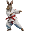 Sporty Rabbit
