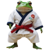 Sports Frog