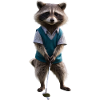 Sport-Waschbär