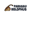 Parasaurolophini Dinosaur Hadrosauridae