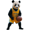 Sporty Panda