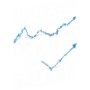 Dividendes au lieu du salaire