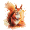 Squirrel