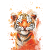 Tigre