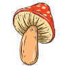Mushroom