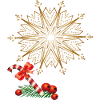Poinsettia