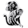 Singe