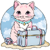 Kitty on the road