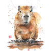 Capybara