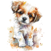 Chien