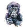 Gorilla
