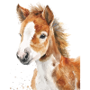 Cheval