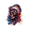 Indian Skull
