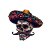 Mexican Skull Sombrero