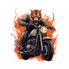Motorcycle Biker Tiger Flame
