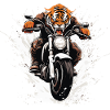 Tiger Motorcycle Rider