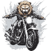 Moto Motard Lion