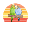 Budgie Gift