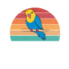 Cadeau de perruche