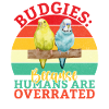 Budgie Gift