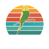 Budgie Gift