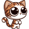 Bébé chat