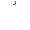 Mouette Ancre Moin