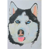 Husky