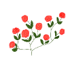 Rosen