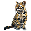 Ocelots Ocelot