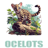 Ocelots Ocelot