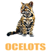 Ocelots Ocelot