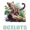 Ocelots Ocelot