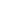 Bodyguard Bodyguard Job Title