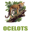 Ocelots Ocelot