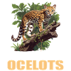 Ocelots Ocelot