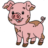 Cochon