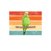Budgie Gift