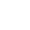 2025 Year Line Element